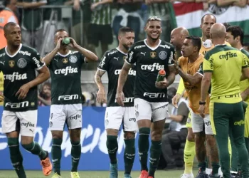 Palmeiras aplica goleada histórica (8 a 1) na Libertadores. Flamengo vence com sustos