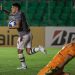 Fluminense vence por 10 a 1, mas cai na Sul-Americana