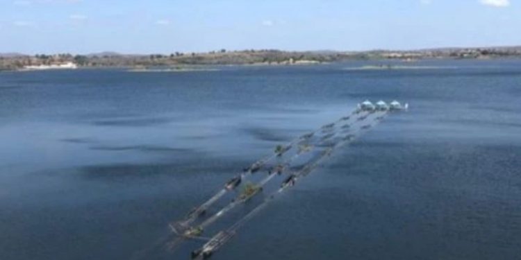 Volume do Açude de Boqueirão sobre 23cm com chuvas dessa sexta (20)