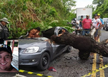 VÍDEO – Socorrista morre ao ter o carro atingido por árvore, próximo à cidade de Borborema
