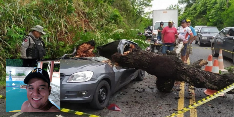 VÍDEO – Socorrista morre ao ter o carro atingido por árvore, próximo à cidade de Borborema