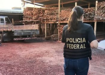 Polícia Federal e Receita abordam madeireira de João Pessoa que estaria vendendo madeira ilegal da Amazônia