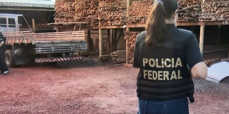 Polícia Federal e Receita abordam madeireira de João Pessoa que estaria vendendo madeira ilegal da Amazônia