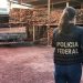 Polícia Federal e Receita abordam madeireira de João Pessoa que estaria vendendo madeira ilegal da Amazônia