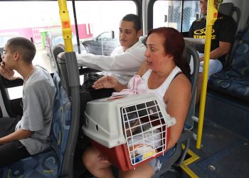Prefeito de João Pessoa sanciona Lei que permite transporte de animais nos ônibus