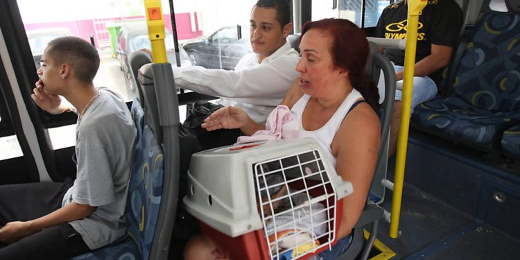 Prefeito de João Pessoa sanciona Lei que permite transporte de animais nos ônibus