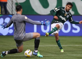 Palmeiras goleia o Botafogo e assume a liderança do Brasileiro
