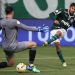 Palmeiras goleia o Botafogo e assume a liderança do Brasileiro