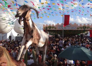 Começa hoje (3) a Festa do Bode Rei, em Cabaceiras