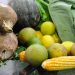 Guia do Ministério da Saúde traz dicas para alimentação de crianças