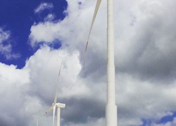 Iphan recomenda novo estudo sobre impacto de parque eólico no RN e PB