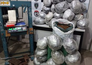 Polícia Civil apreende maconha e cocaína em CG