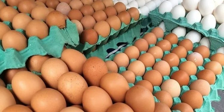Preço do ovo de galinha dispara e produto falta em JP