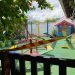Homem invade creche em Blumenau (SC), mata quatro crianças e deixa cinco feridas