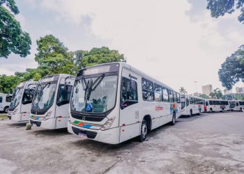 João Pessoa recebe 20 ônibus novos para o transporte coletivo