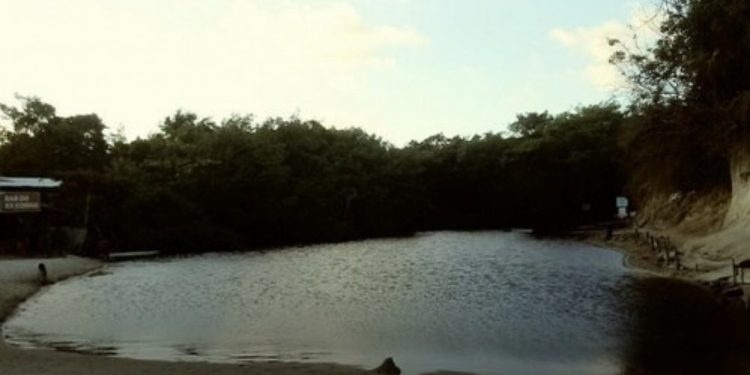 Mulher é atacada por jacaré, no Rio Jacarapé, em João Pessoa