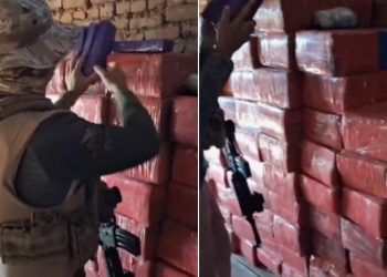 PC apreende uma tonelada de maçons no Sertão da PB