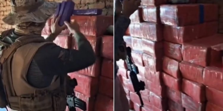 PC apreende uma tonelada de maçons no Sertão da PB