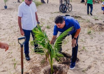 Prefeitura de JP lança campanha para plantar 300 mil árvores até 2030