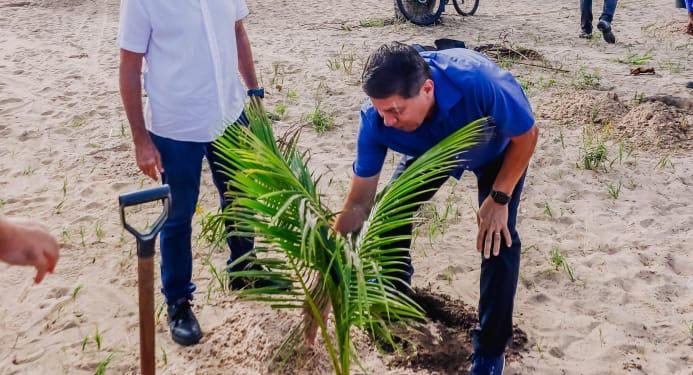 Prefeitura de JP lança campanha para plantar 300 mil árvores até 2030