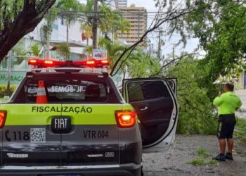 Chuva e ventania deixam rastro de destruição em João Pessoa