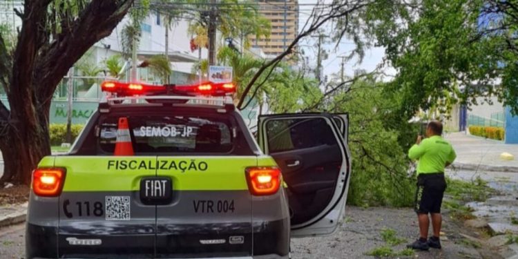 Chuva e ventania deixam rastro de destruição em João Pessoa