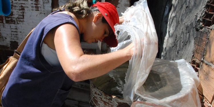 Vigilância Sanitária de JP desmente mito que sal e cloro mata mosquito da dengue