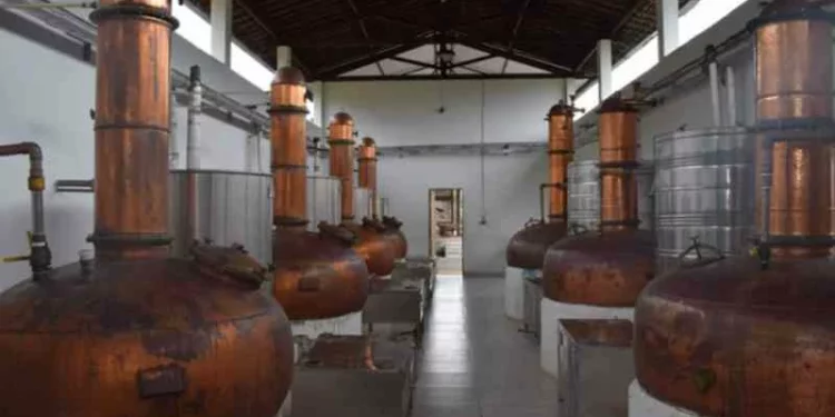 Parte do Engenho Triunfo é fechada após incêndio