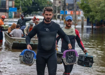 Governo do RS e ONG fecham parceria em apoio a animais resgatados