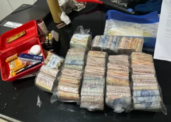 Polícia de Pernambuco faz operação contra o tráfico de droga em João Pessoa