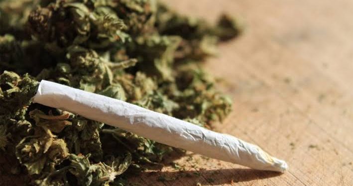 STF define em 40g o limite de maconha para usuários