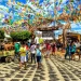 Festa do Bode Rei começa nessa quinta (6)