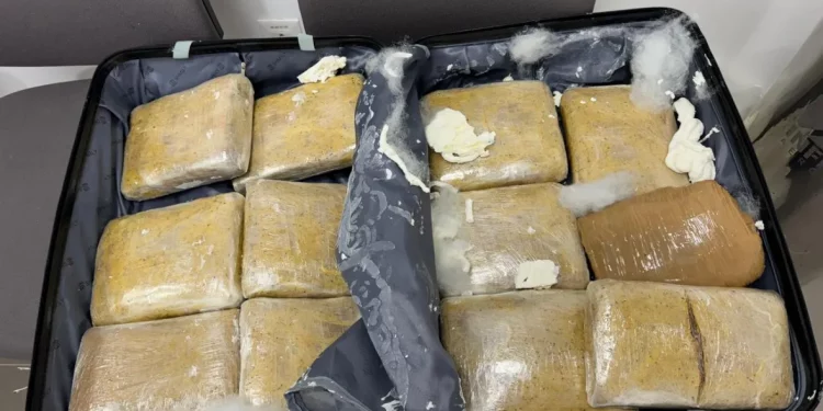 PF prende mulher com 13kg de haxixe no aeroporto Castro Pinto