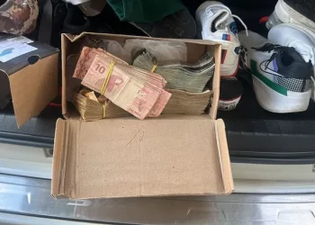 PF faz operação contra tráfico de drogas e lavagem de dinheiro em 4 estados do NÉ