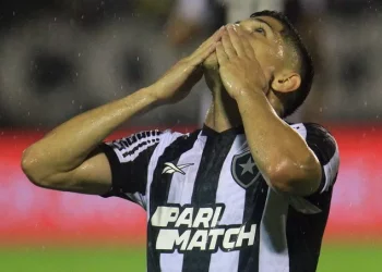 Botafogo-RJ vence São Paulo e é campeão brasileiro de 2024