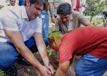 Leo Bezerra anuncia plantio de 600 mudas de árvores nativas, em JP