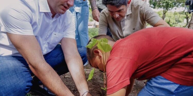 Leo Bezerra anuncia plantio de 600 mudas de árvores nativas, em JP