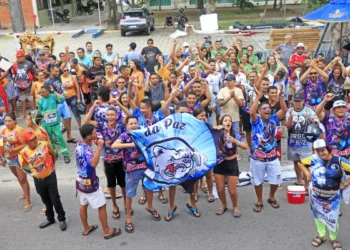 Urso da Paz, Tribo Ubirajara, Ciganos de Esplanada e Unidos do Roger vencem o Carnaval Tradição 2025