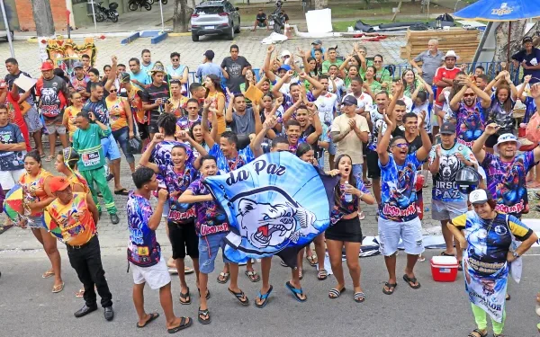 Urso da Paz, Tribo Ubirajara, Ciganos de Esplanada e Unidos do Roger vencem o Carnaval Tradição 2025