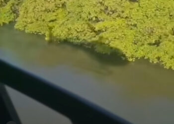 Com ajuda do helicóptero Acauã, Bombeiros localizam corpo do médico que se afogou no Jacaré