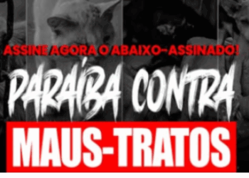 Campanha cobra prefeitos da PB por ações contra maus-tratos de animais