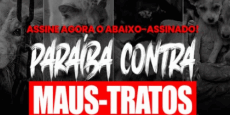 Campanha cobra prefeitos da PB por ações contra maus-tratos de animais
