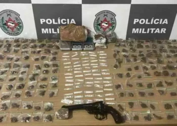 PM apreende armas e drogas no Grotão, em JP