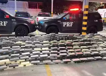 PRF apreende mais de uma tonelada de cocaína na BR-101, em Alhandra-PB