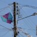 Energisa registra 33 mil acidentes com pipa e rede elétrica na PB, em 2026